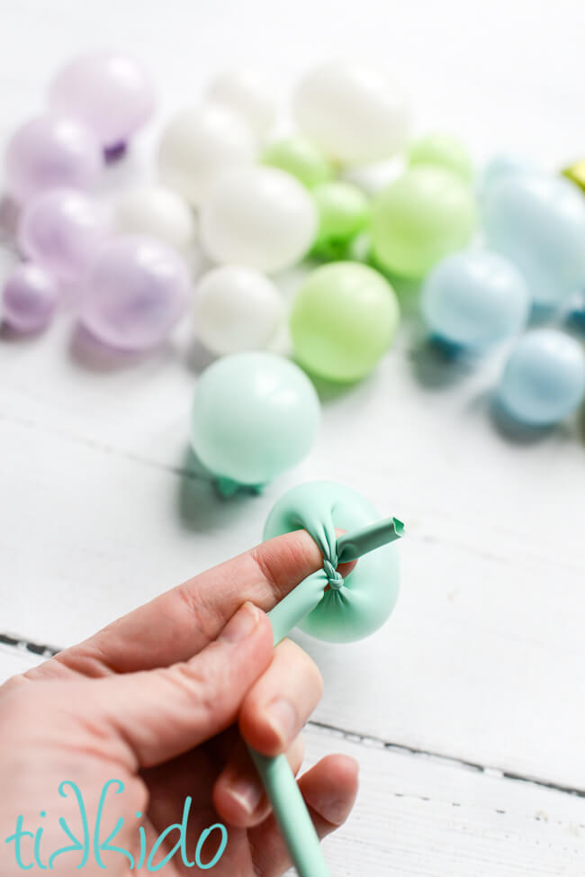 A 260 balloon being tied to make miniature balloons for a Balloon Garland Cake Topper.