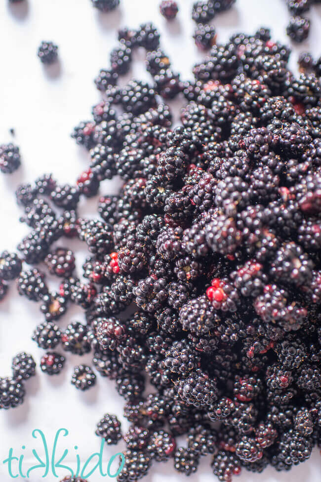 Pile of freshly picked wild blackberries on a white marble surface.