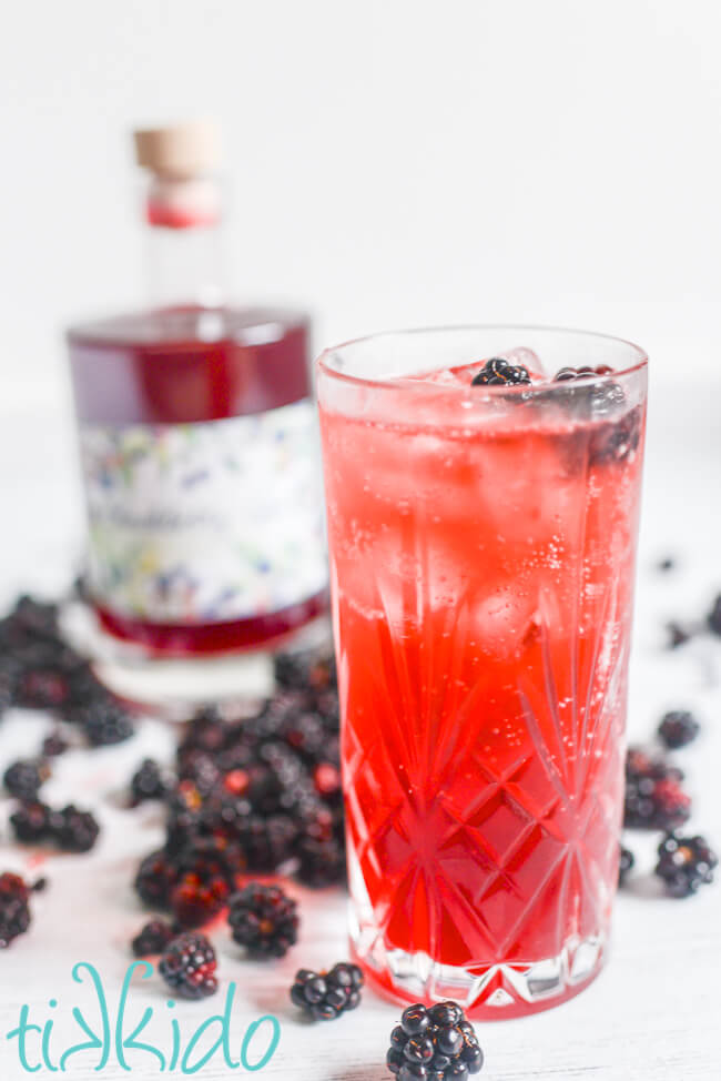 Glass of blackberry gin cocktail in front of a bottle of blackberry gin, surrounded by fresh blackberries.