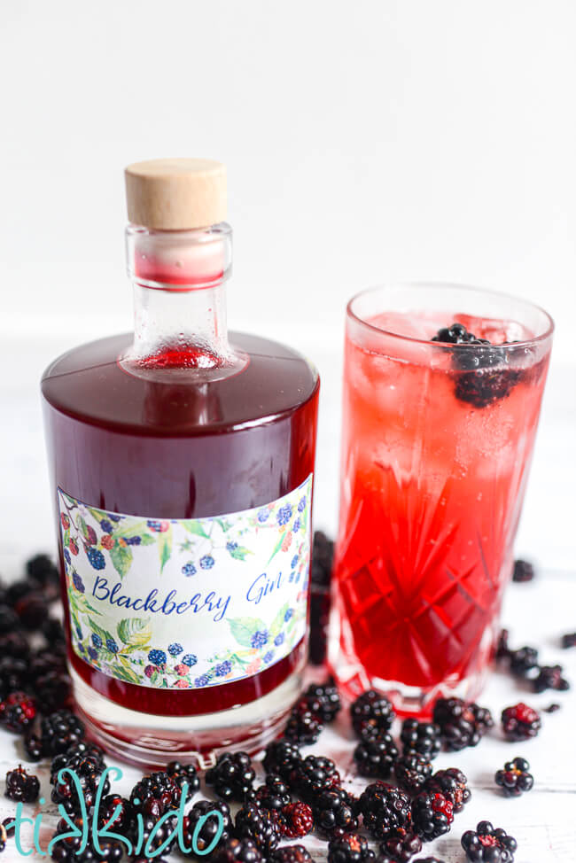 Blackberry gin cocktail in a highball glass next to a bottle of homemade blackberry gin, surrounded by fresh blackberries.