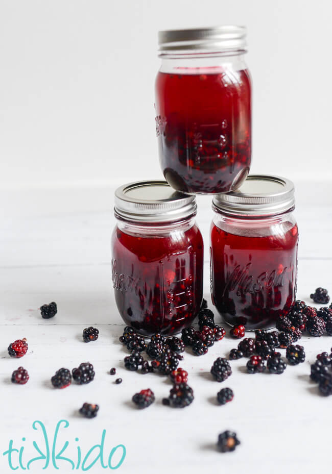 Blackberries, sugar, and gin in three mason jars to make blackberry gin.