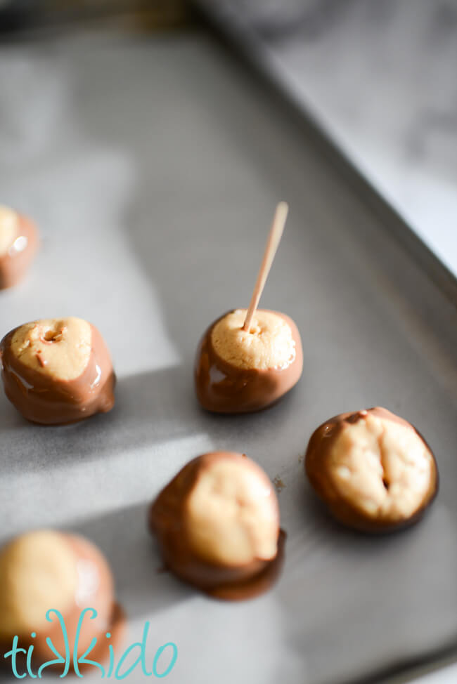 Buckeye candy peanut butter balls dipped in chocolate using a toothpick.