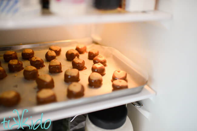 Buckeye Candies setting up in the fridge.