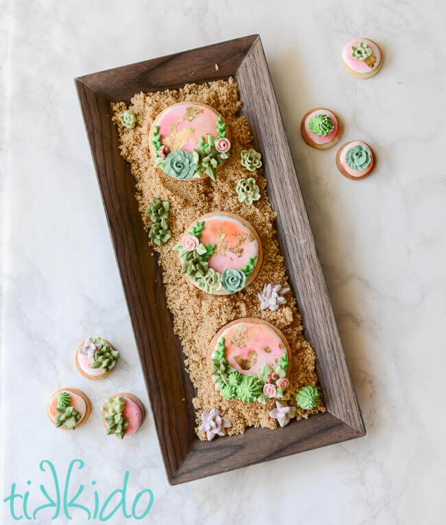 Round sugar cookies decorated with royal icing succulents and cactus on a rectangular tray lined with brown sugar.