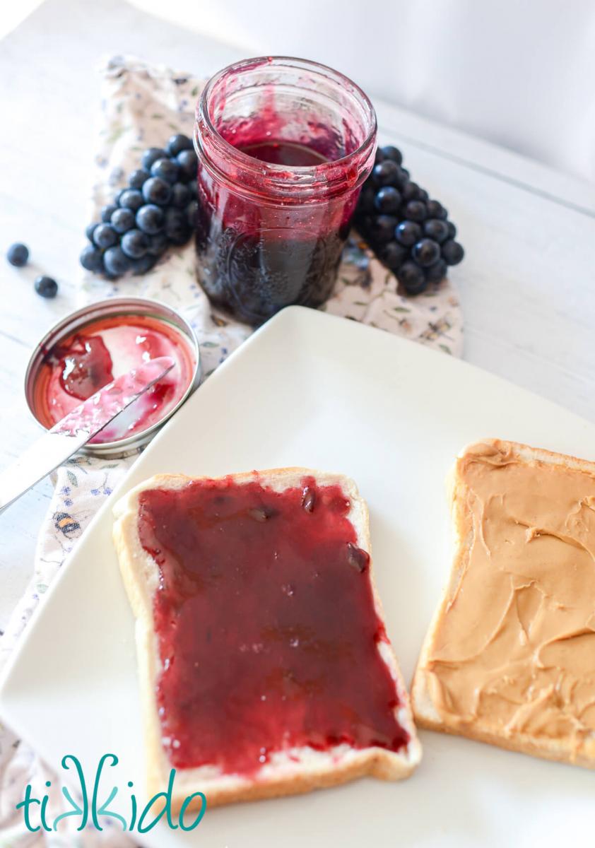Two pieces of white bread on a white plate, one covered in homemade concord grape jam, the other in peanut butter.  An open jar of concord grape jam is in the background.
