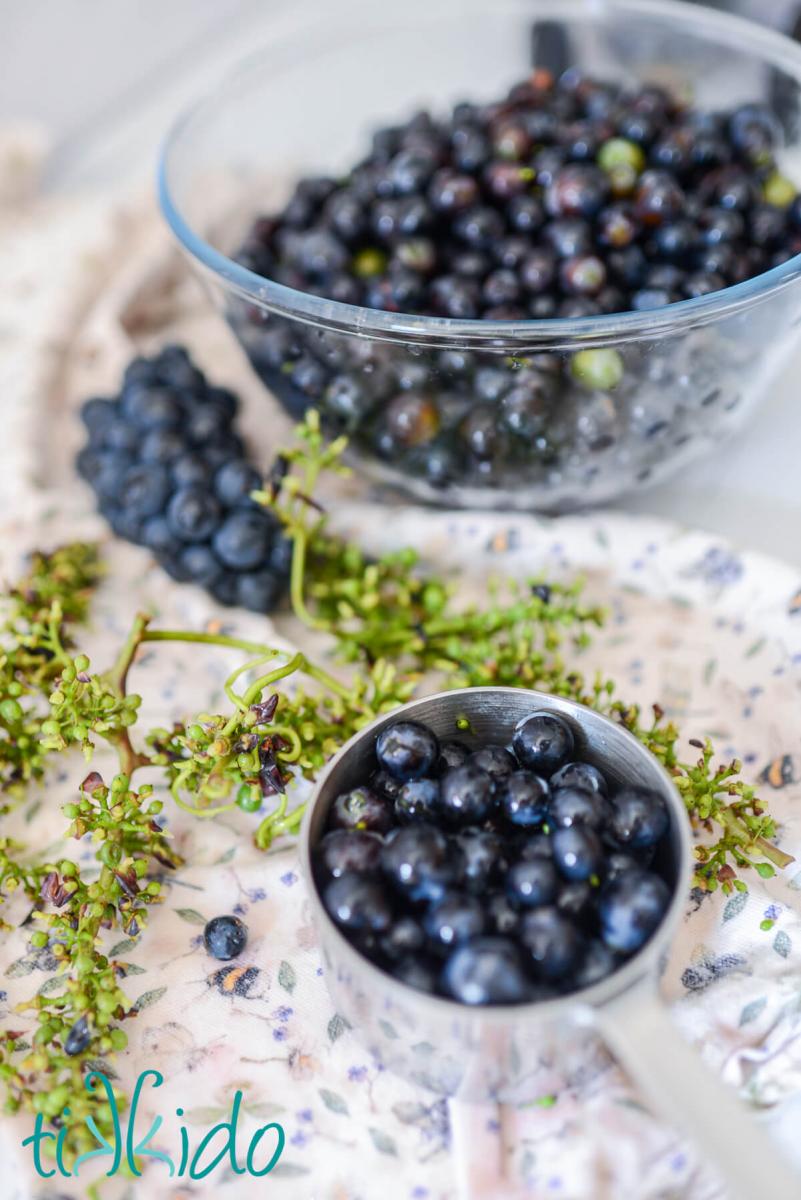 Concord grapes being removed from stems and measured in a silver measuring cup.