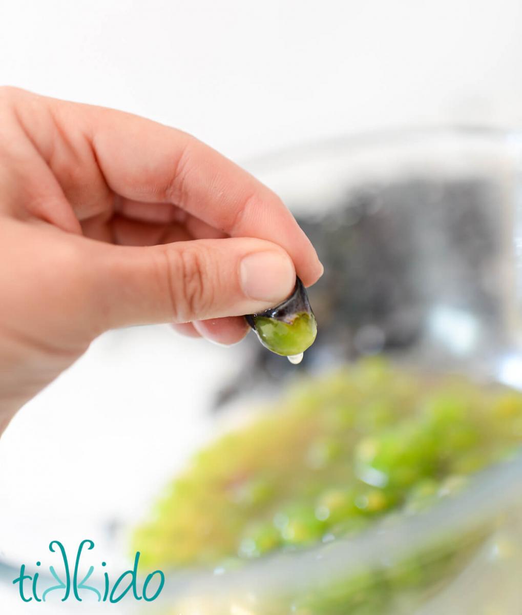 Concord grape fruit being squeezed out of its skin.