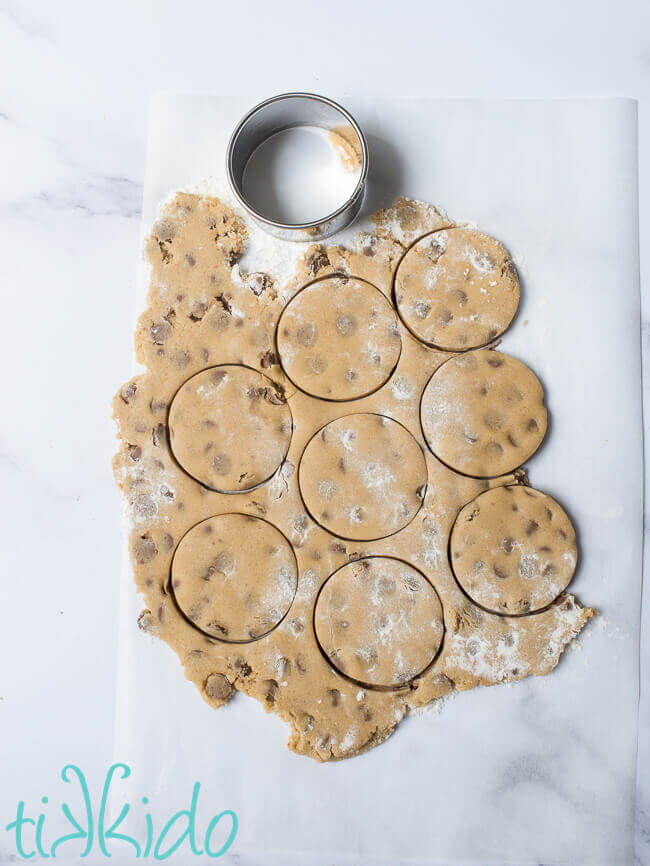 Edible chocolate chip cookie dough cut into circles for the Cookie dough ice cream sandwiches