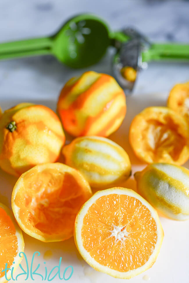 Photo of lemons and oranges in the process of being juiced for the Cornish shrub recipe.