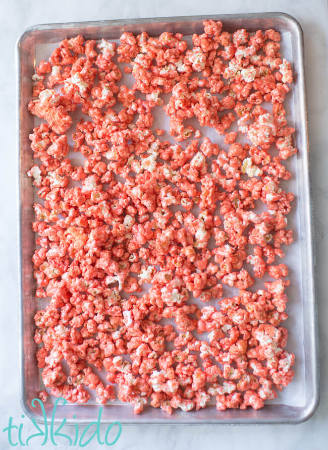 Cotton candy popcorn cooling on a parchment lined baking sheet.