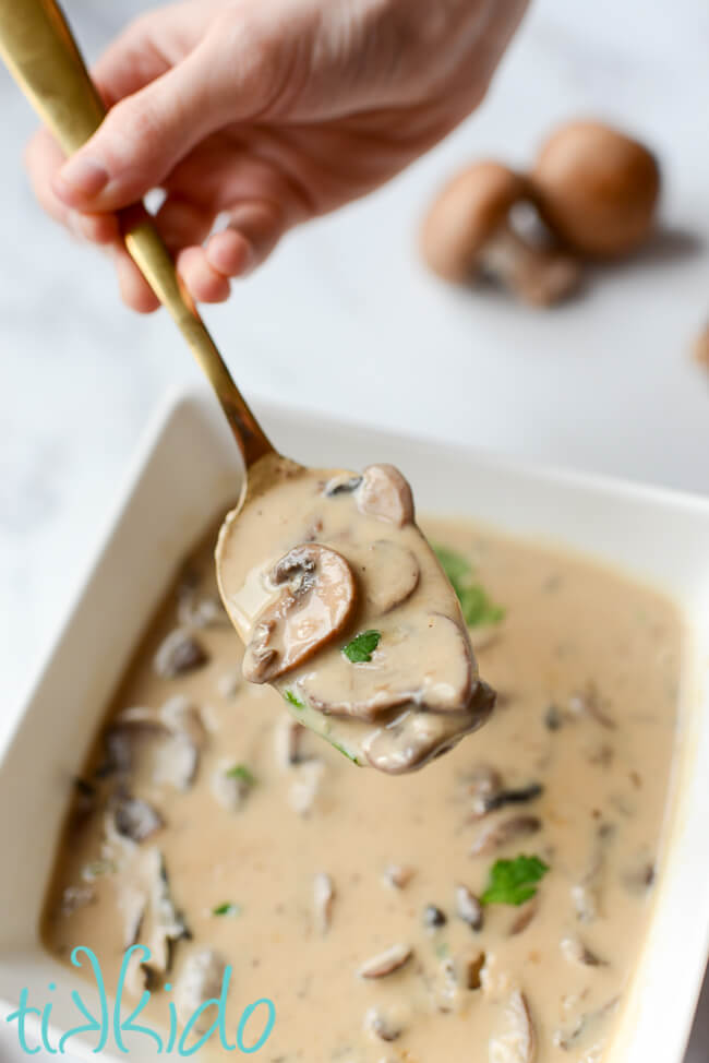 Spoon holding Cream of Mushroom Soup above a bowl of the soup.