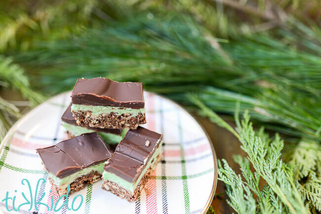 No bake mint chocolate bars on a plate, surrounded by fresh evergreen branches.