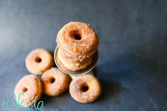 Homemade cake doughnuts coated in cinnamon sugar on a black chalkboard background.