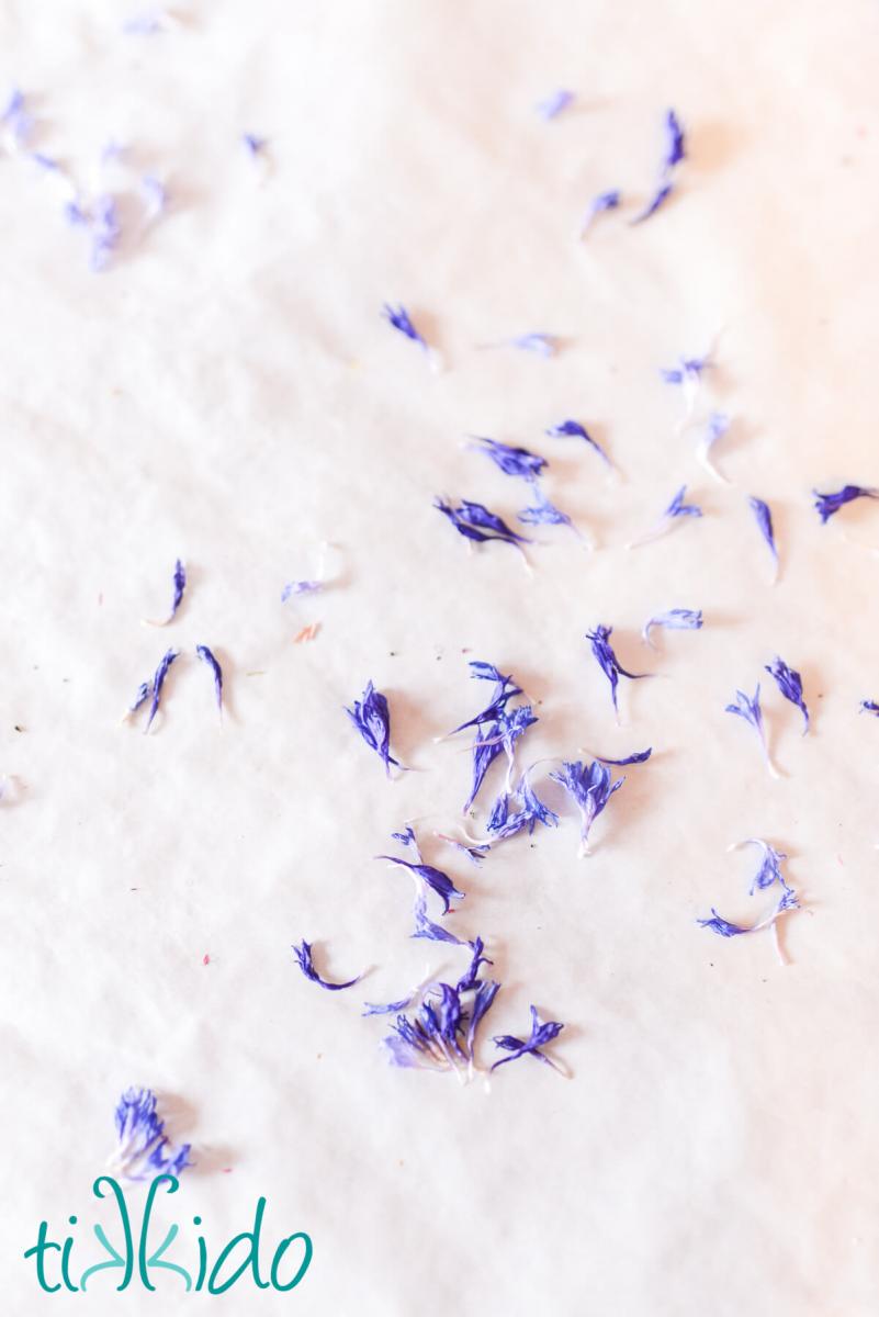 Dried cornflower petals on parchment paper.