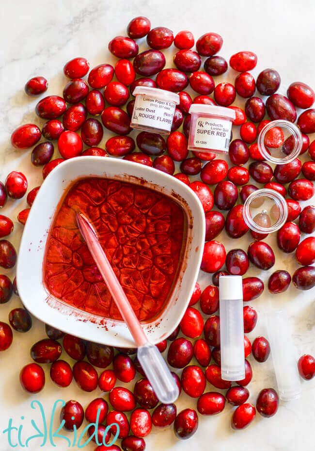 Homemade cranberry lip gloss melted in a white bowl, surrounded by fresh cranberries and empty lip gloss containers.