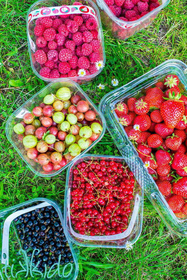 Baskets of freshly picked summer berries, including red currants, gooseberries, strawberries, and raspberries.