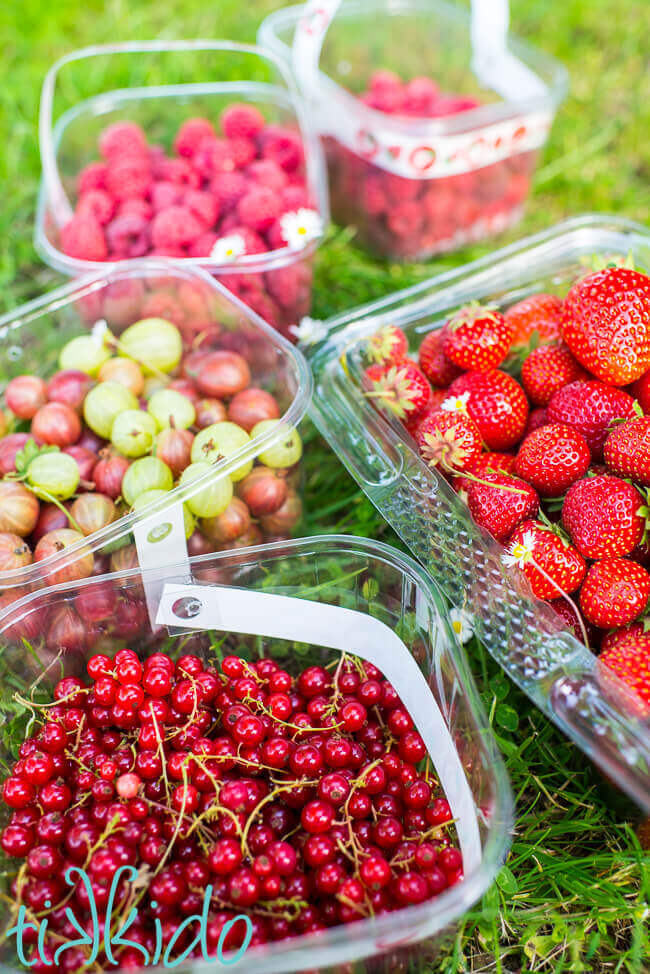 Baskets of freshly picked summer berries, including red currants, gooseberries, strawberries, and raspberries.