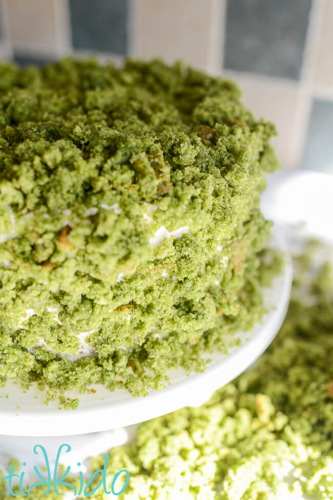 Spinach cake crumbs covering the top and sides of a moss cake to make the distinctive moss-like decoration and covering.