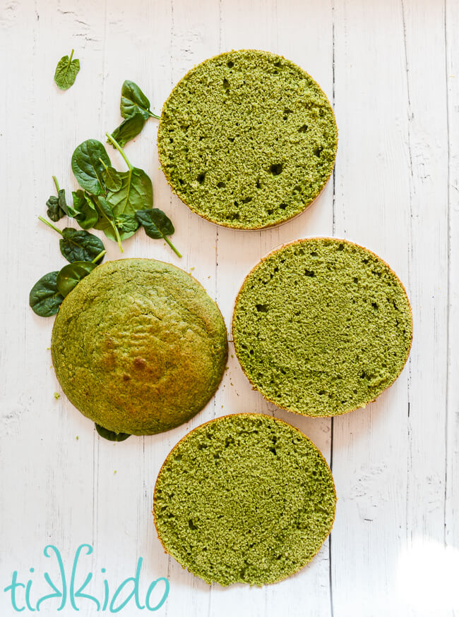 Two layers of Forest Moss Cake baked, cooled, and with the domed tops of the cakes cut off and set to the side.  Fresh spinach leaves are scattered around the cakes.