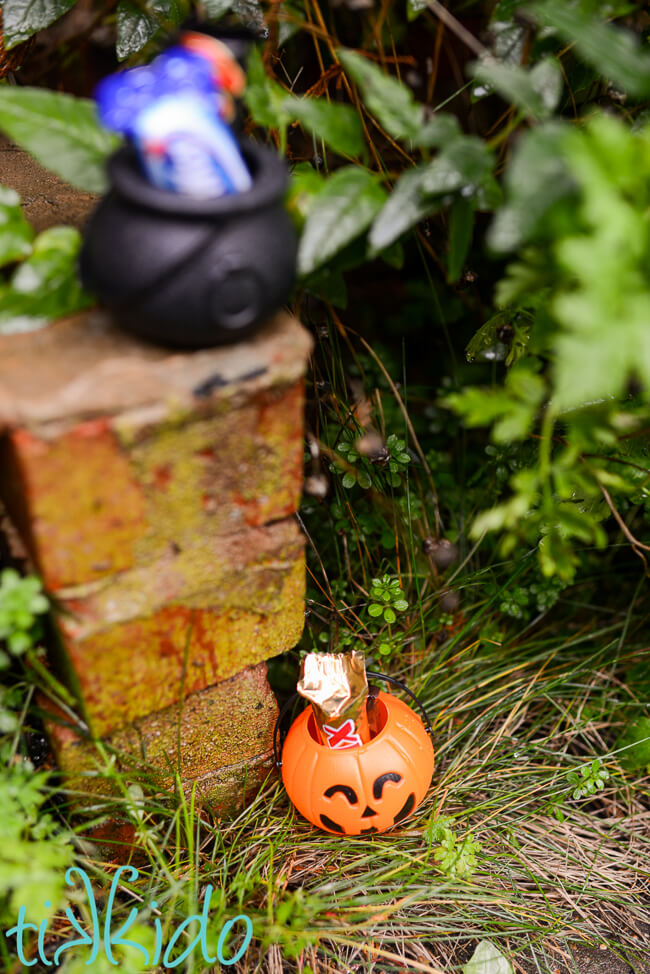 Miniature plastic pumpkin and witch cauldron filled with Halloween candy, hidden in the garden for a Halloween candy hunt.