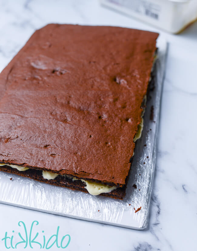 Homemade Ice Cream Sandwiches before being cut into individual pieces.