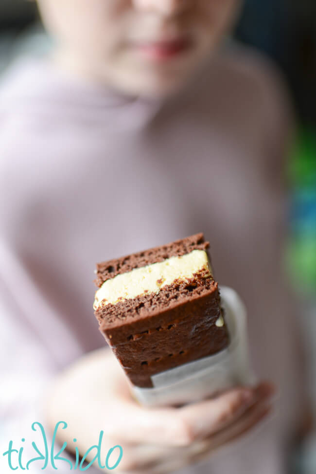 Girl holding a homemade ice cream sandwich in her hand.