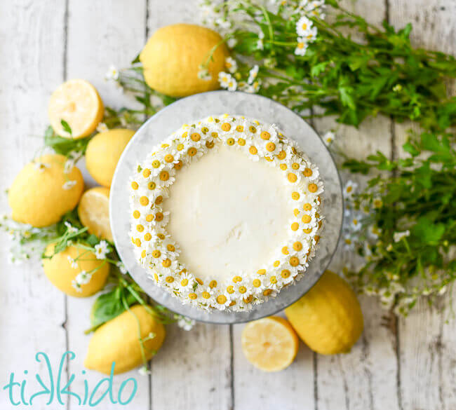 One layer white cake on galvanized metal cake stand, decorated with chamomile flowers, surrounded by fresh lemons and chamomile flowers, 