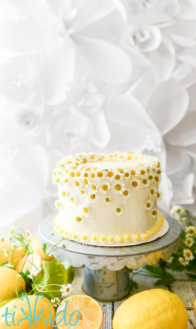 One layer white cake on galvanized metal cake stand, decorated with chamomile flowers, surrounded by fresh lemons and chamomile flowers, 