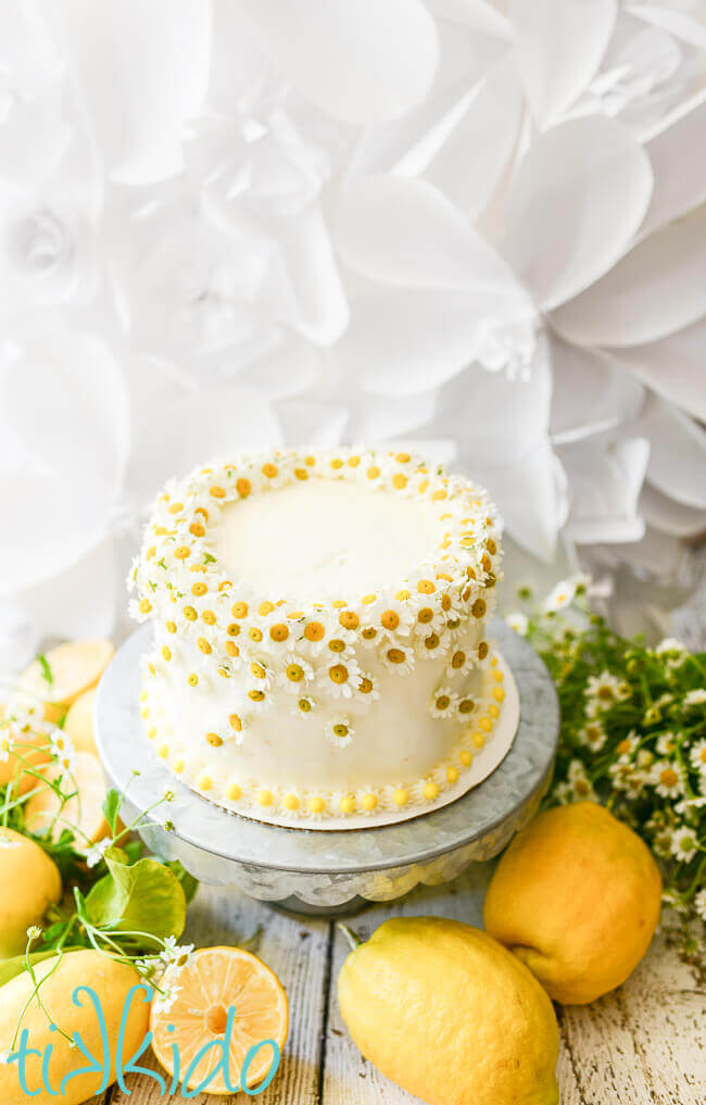 One layer white cake on galvanized metal cake stand, decorated with chamomile flowers, surrounded by fresh lemons and chamomile flowers, 