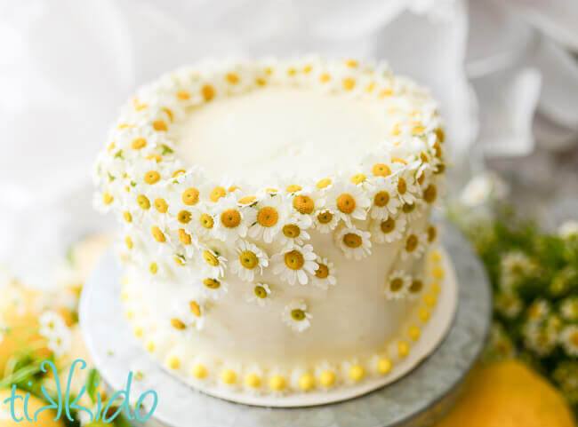 One layer white cake on galvanized metal cake stand, decorated with chamomile flowers, surrounded by fresh lemons and chamomile flowers, 