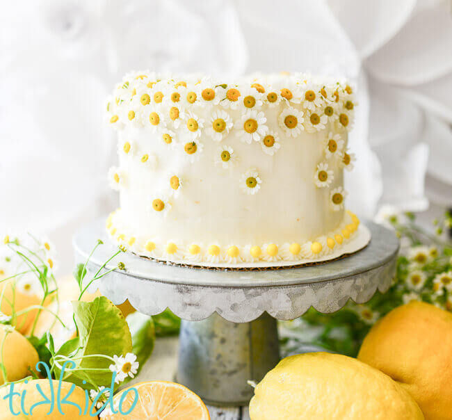 One layer white cake on galvanized metal cake stand, decorated with chamomile flowers, surrounded by fresh lemons and chamomile flowers, 