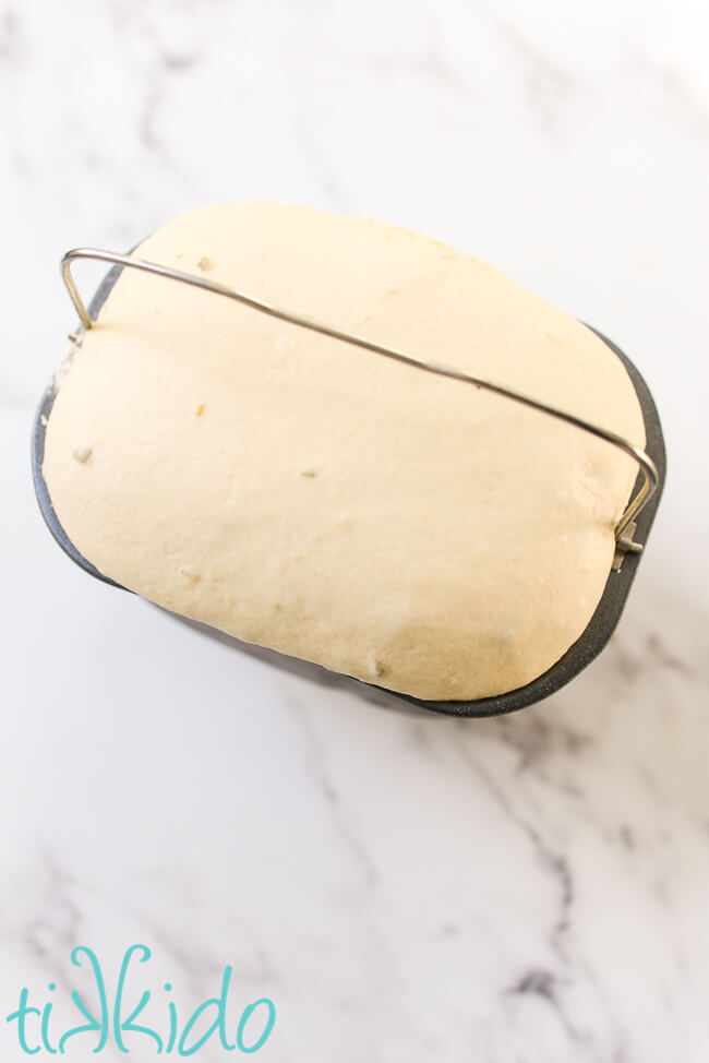 Jalapeño Cheddar Bagel dough made in a bread machine.
