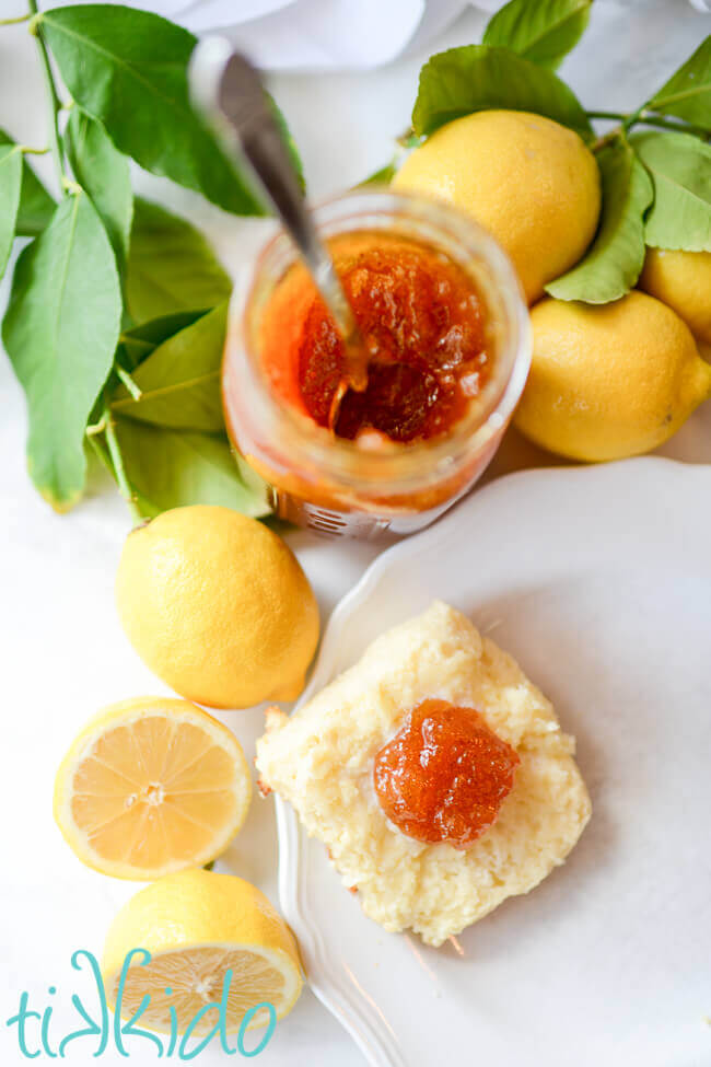 Homemade lemon jam dolloped on a fresh biscuit on a white plate.