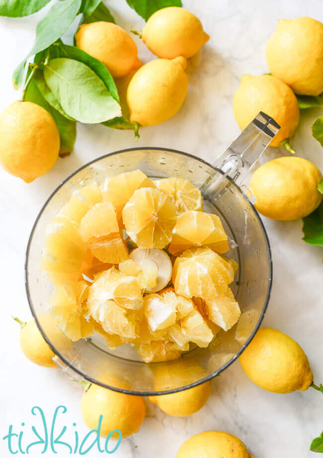 The fruit of the lemon in a food processor bowl.