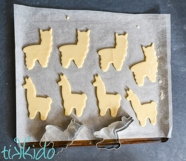 Sugar cookie dough rolled out on parchment and cut into llama and alpaca shapes.