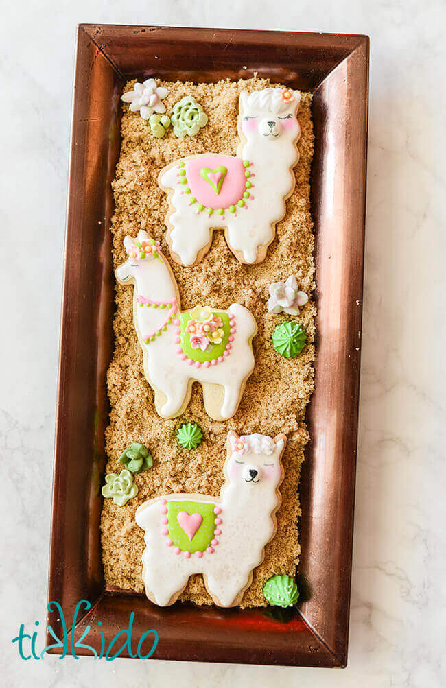 Three cute llama cookies decorated with royal icing.