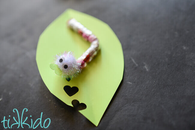 love Bug chocolate sixlet caterpillar on paper leaf with heart shaped holes valentine on black chalkboard background