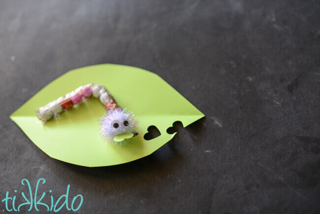 love Bug chocolate sixlet caterpillar on paper leaf with heart shaped holes valentine on black chalkboard background