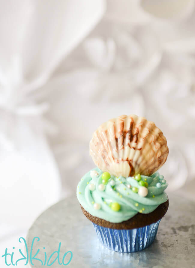 Chocolate Seashell cupcake on a white background.