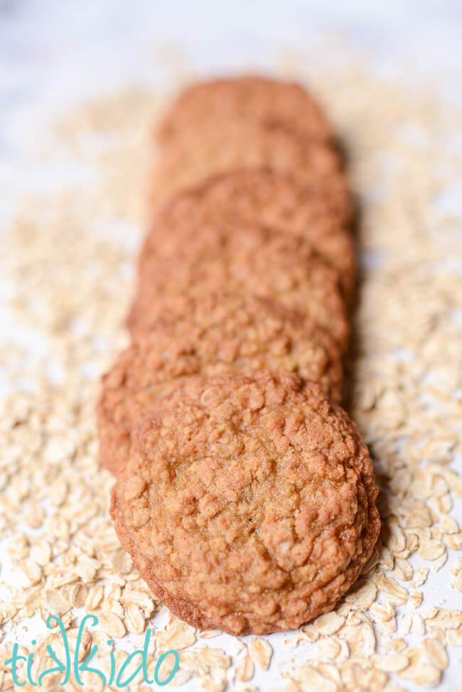 Chewy oatmeal cookies arranged in a line on a bed of uncooked oats.
