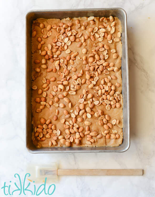 Peanut butter bar cookie dough in a 9x13 pan.