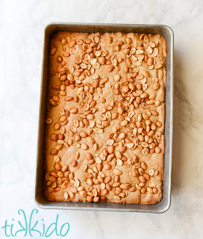 Peanut butter bar cookies baked in a 9x13 pan.