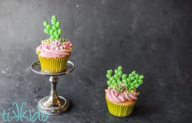 Two prickly pear cupcakes topped with pink prickly pear icing, sprinkles, and royal icing cactus and succulents.