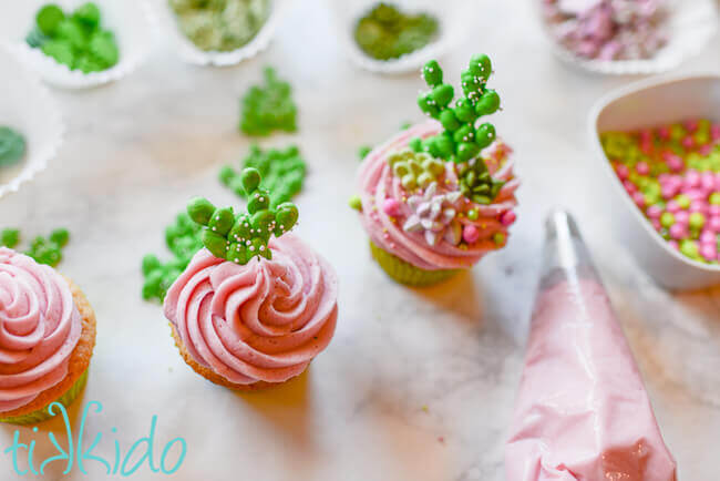 Overhead view of cupcakes topped with pink prickly pear icing and being decorated with royal icing cactus.