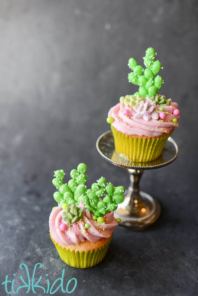 Two prickly pear cupcakes topped with pink prickly pear icing, sprinkles, and royal icing cactus and succulents.