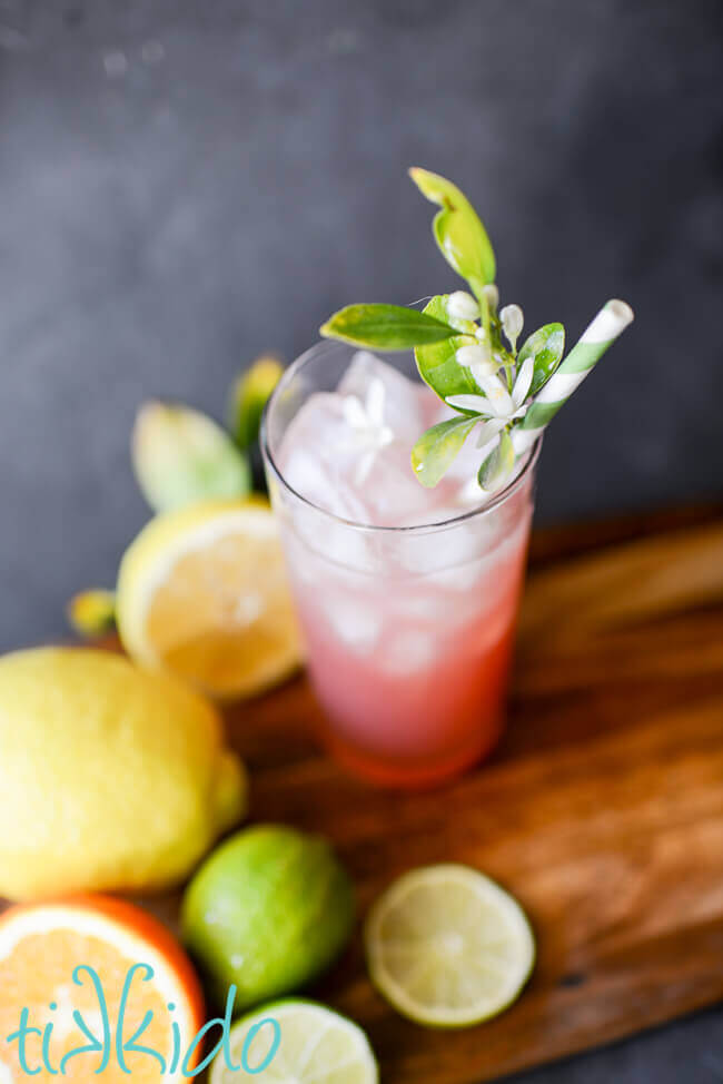 Pink Prickly pear margarita in a tall glass with ice and a green striped paper straw embellished with fresh citrus blossoms.