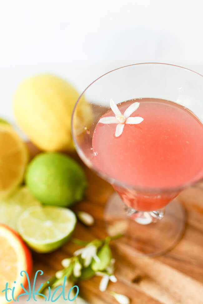 overhead view of a glass of pink prickly pear margarita, with a small white citrus flower floating in the drink, and lemons, limes, and oranges surrounding the glass.