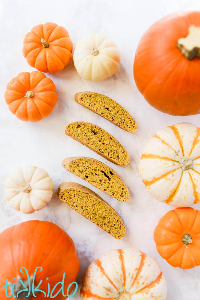 Four pumpkin biscotti slices surrounded by miniature pumpkins on a white marble background.