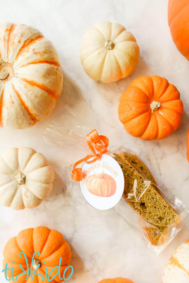 Packaged homemade pumpkin biscotti surrounded by miniature pumpkins.