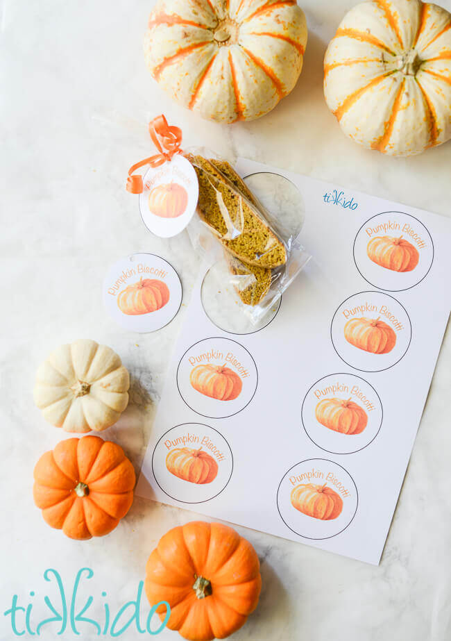 Bag of pumpkin biscotti on a sheet of printable pumpkin biscotti labels, surrounded by miniature pumpkins.